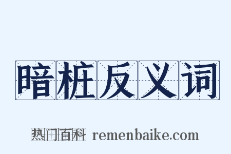 暗桩反义词是什么意思的图片